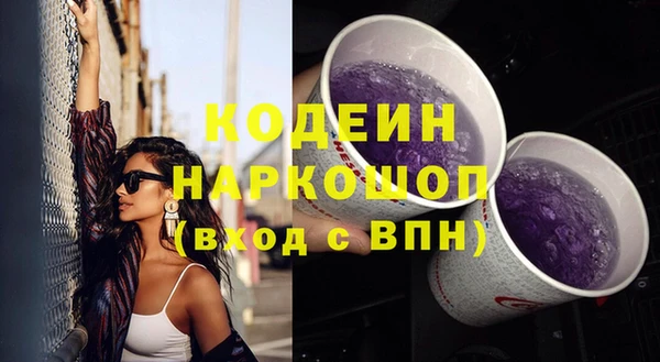 СК Осинники