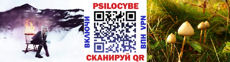 mega ссылка  Рязань  Псилоцибиновые грибы Psilocybine cubensis 
