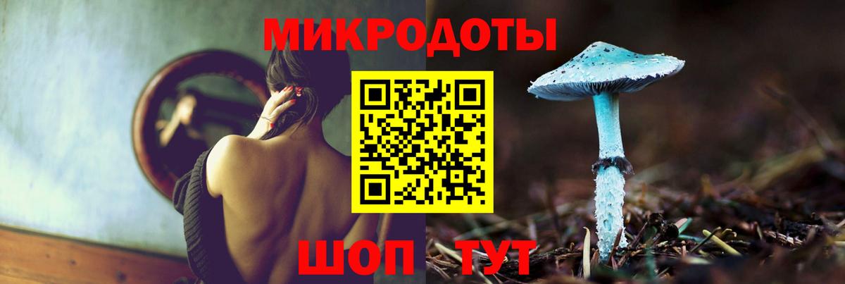 Рязань  Псилоцибиновые грибы Psilocybine cubensis  Вход с VPN 